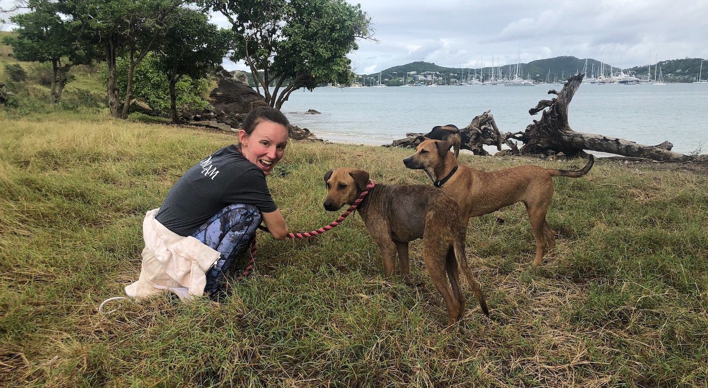 Saving Stray Dogs in Antigua
